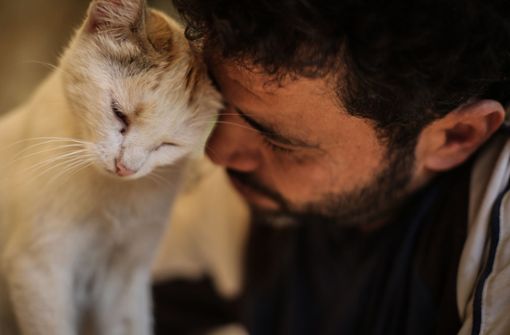 Mohammed Alaa al-Dschalil, der „Katzenmann von Aleppo“, liebkost eine Katze in seinem Tierheim in der kriegszerstörten syrischen Stadt. Foto: dpa