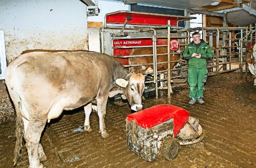 Blick in den Stall: der Mistschieber wird per Smartphone von Bauer Schnerring um die Kuh herum manövriert. Foto: privat