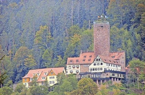 Die Burg Liebenzell ist einen Ausflug wert – auch wenn der Zugang  ins Innere derzeit wegen einer Verunreinigung durch Tauben nicht möglich ist. Foto: Internationales Forum Burg Liebenzell