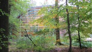 Das Haus des Waldes liegt an einem Ort, über den es informieren will: in der Natur. Foto: Sägesser