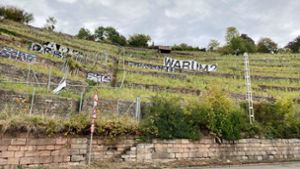 Steht dort wie gerufen: Warum tut sich nichts im brach liegenden Weinberg an der Weinsteige? Foto: /Kathrin Haasis