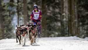 Perfekte Schnebedingungen beim internationalen Schlittenhunderennen im Schwarzwald. Foto: Getty Images Europe