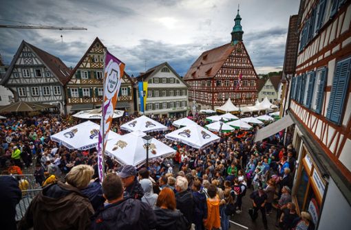 Tausende Besucher werden wieder im Herzen von Backnang erwartet – zum Feiern vor malerischer Kulisse. Foto: Gottfried Stoppel