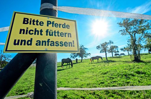 Ein Schild an einer Koppel bei Rechberghausen fordert Fußgänger auf, Pferde nicht zu füttern und zu streicheln. Foto: /Giacinto Carlucci