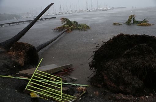 Die Zahl der Opfer durch den Hurrikan „Irma“ steigt. Foto: Getty