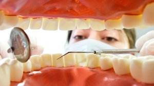 Der beste Schutz vor hohen Kosten im Dentalbereich sind nach wie vor regelmäßige Kontrolluntersuchungen und die tägliche Mundhygiene. Foto: dpa