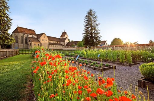Die Wiege des europäischen Gartenbaus steht auf der Insel Reichenau. Foto: Helmuth Scham/Bodenseegärten