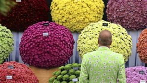 Im Londoner Nobelstadtteil Chelsea pilgern bis Samstag Tausende Blumenfans zur prestigeträchtigsten Gartenmesse der Welt Foto: Getty