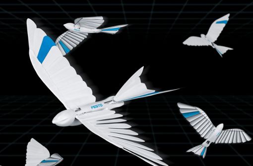 BionicSwifts gehören zu den Vorzeigeprodukten von Festo. Die künstlichen Schwalben sind agil, wendig und können sogar Loopings und enge Kurven fliegen. Sie sind in der Lage, sich untereinander zu koordinieren und sich autonom in einem abgesteckten Luftraum zu bewegen. Foto: Festo
