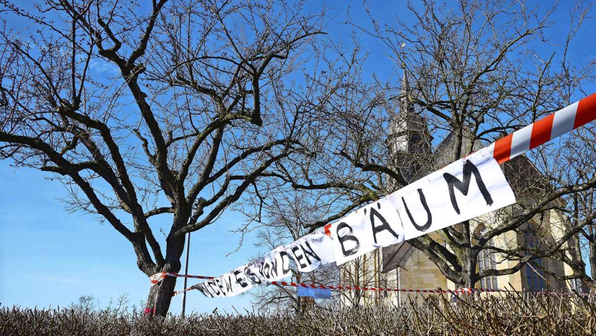 Schlossberg-Bebauung in Böblingen: Baumfällungen heizen Protest erneut an