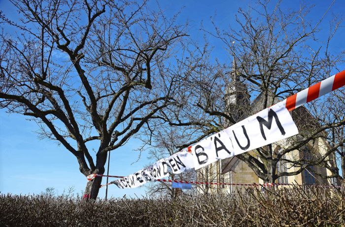 Schlossberg-Bebauung in Böblingen: Baumfällungen heizen Protest erneut an