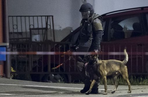 Ein Polizeihund biss den Schützen während der Erstürmung der Wohnung. Foto: 7aktuell.de/Oskar Eyb