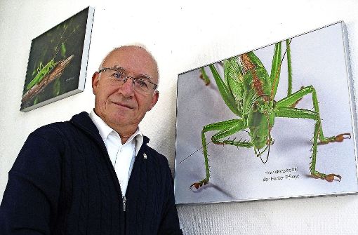 Ohrwurm, Weberknecht und anderen Insekten hat sich der Stammheimer Ulrich Behrend auf besondere Weise genähert. Der Industriefotograf im Ruhestand zeigt seine Bilder in der Bücherei. Foto:  