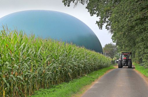 Hierzulande erzeugtes Biogas kann nach Einschätzung des Bundesverbandes Bioenergie helfen, die Abhängigkeit von russischem Erdgas schneller zu überwinden. Foto: imago images/Joerg Boethling/Joerg Boethling via www.imago-images.de
