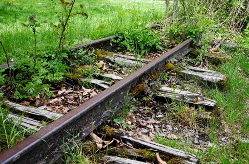 Teile der alten Gleise der Bottwartalbahn  sind sogar noch erhalten. Foto: Archiv (Werner Kuhnle