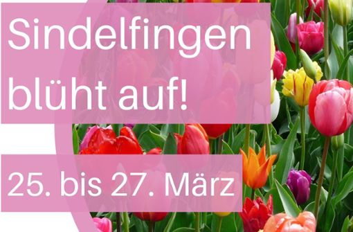 Vom 25. bis 27. März soll die Sindelfinger Innenstadt aufblühen. Foto: red