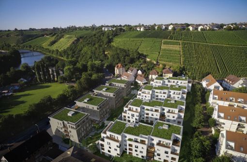 Rund 120 Wohnungen in attraktiver Lage zwischen Neckar und Weinbergen plant die Stadt in Bad Cannstatt. Foto: Pro Contact/Claudio Cavallari