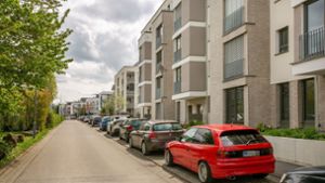 Auf der Flandernhöhe sind in den vergangenen Jahren zahlreiche neue Wohnungen entstanden – darunter auch viele öffentlich geförderte. Foto: Roberto Bulgrin