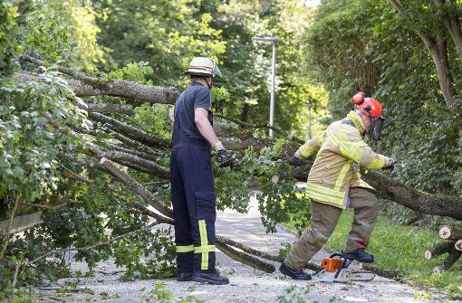 Einsatzkräfte hatten in Nürtingen alle Hände voll mit einem umgestürzten Baum zu tun. Foto: 7aktuell.de/Daniel Jüptner
