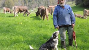 Der mit der Kuh tanzt: Bergbauer kämpft für Hörner