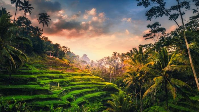 Die beste Reisezeit für Bali 