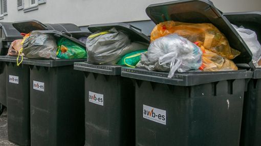 Wann wird die  Restmülltonne geleert? Der Müllkalender listet alle Abfuhrtermine auf. Foto: Roberto Bulgrin