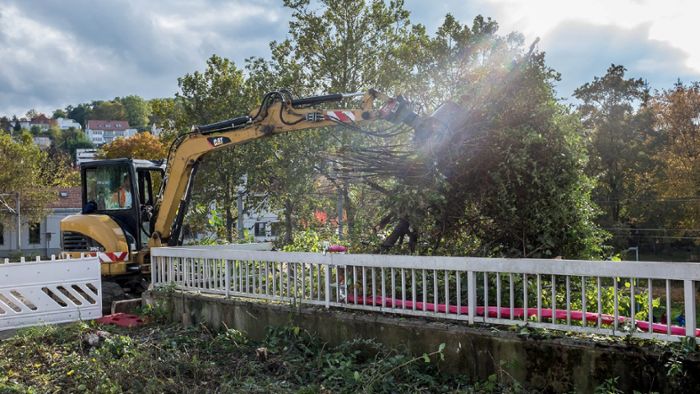 Bahn fällt Bäume am Bahnhof Feuerbach für Milliardenprojekt