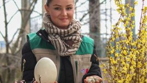 Eier in allen Größen – zu besichtigen im Wunderland Wilhelma. Foto: Wilhelma