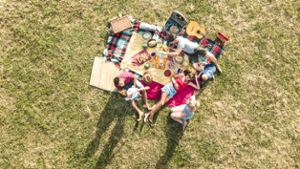 Im Sommer eine beliebte Aktivität zum Entspannten: Ein Picknick im Park.