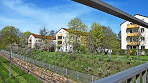 Die Baugenossenschaften planen am Ehrlichweg etwa 100 neue Wohnungen. Foto: A. Kratz