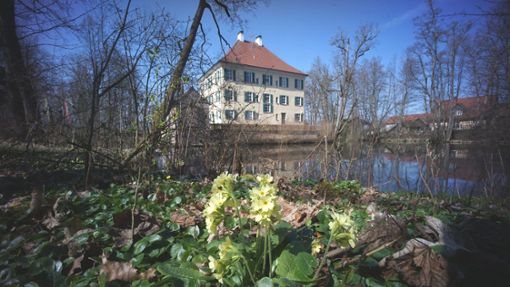 Der Schlosspark beim Wasserschloss in Unterwittelsbach ist der reinste Märchengarten Foto: Tourismusverband Bayerisch Schwaben/Erich Echter