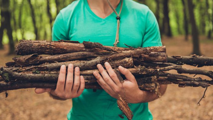 Darf man im Wald Holz sammeln?