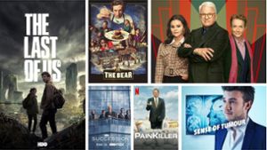 Sechs unserer Lieblingsserien im Jahr 2023: „The Last of Us“, „The Bear“, „Only Murders in the Building“, „Sense of Tumour“, „Painkiller“, Succession“ (von links oben im Uhrzeigersinn) Foto: HBO (2), FX, Disney+