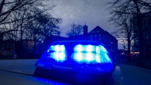 Die Polizei hat Einbrecher in Bönnigheim versucht zu stellen – vergeblich.Foto:dpa Foto:  