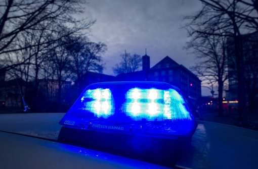 Die Polizei hat Einbrecher in Bönnigheim versucht zu stellen – vergeblich.Foto:dpa Foto:  
