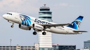 Ein Flugzeug der Egyptair startet vom Flughafen in Wien. Foto: AP