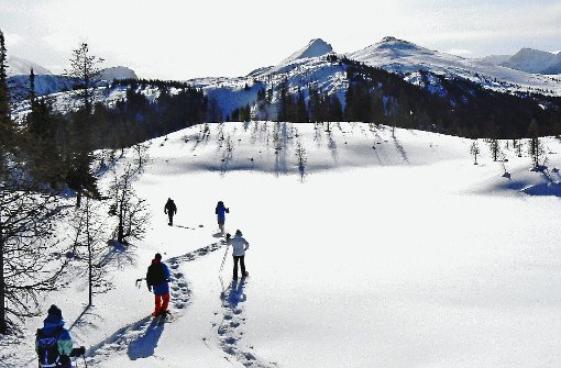 Winterwunderland ohne Kitschfaktor: Nur wenige Meter vom Skigebiet Sunshine Village entfernt lädt ein Hochplateau zum Schneeschuhwandern ein.  Foto: SoAk