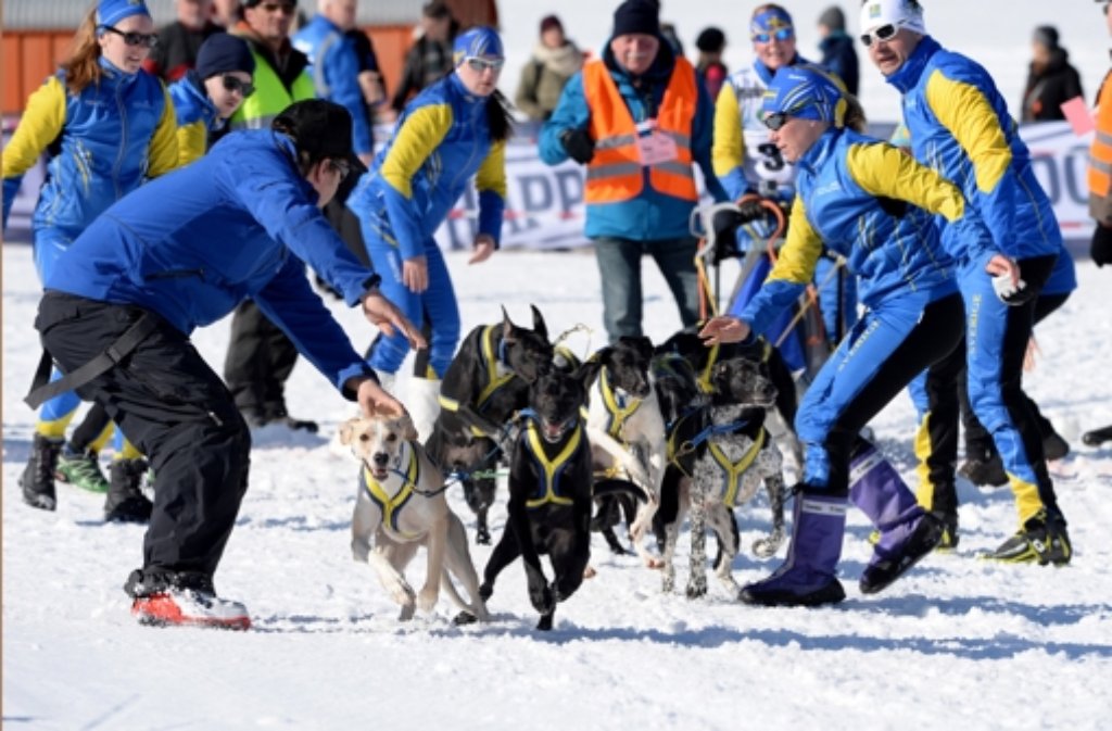 Bei bestem Wetter hat die Schlittenhunde-Weltmeisterschaft in Bernau im Kreis Waldshut begonnen.