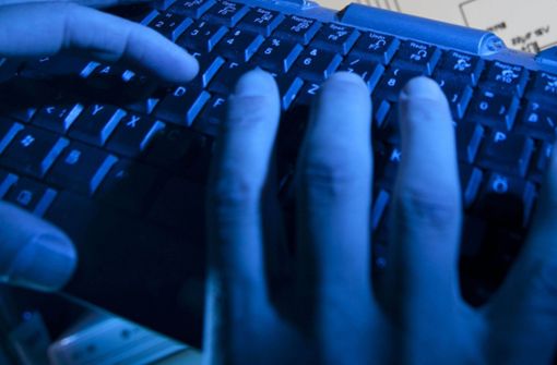 Internetkrimineller geht der Polizei ins Netz. Foto: Keystone