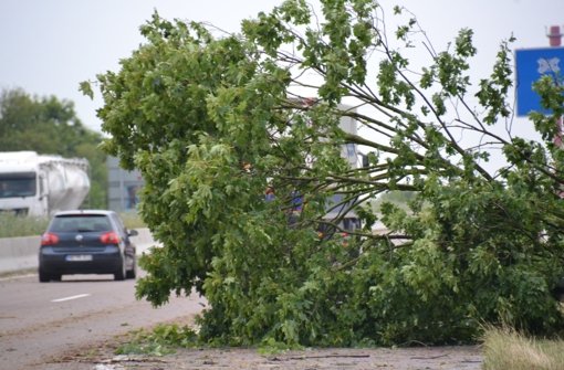 Ein beim Gewitter umgestürzter Baum liegt am Autobahnkreuz Heidelberg. Foto: dpa