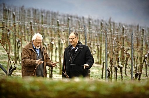 Der Stadtrat Bernhard Dippon (links) und der Pfarrer Rainer Köpf  beim Ideensammeln für den Biblischen Weinweg. Foto: Gottfried Stoppel
