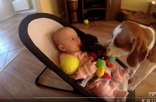 Hund Charlie bringt dem weinenden Baby Spielzeuge. Foto: Screenshot Youtube/CharlieDaDog