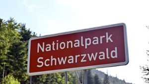 Besuchermagnet, aber auch Kostentreiber: Der Nationalpark Schwarzwald in Baden-Württemberg. (Archivbild) Foto: dpa/Uli Deck