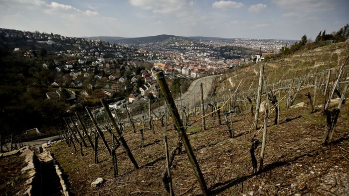 Weingut darf Kuhns Glyphosat-Verbot ignorieren