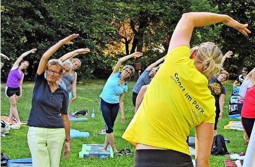 Der SV Vaihingen bietet im Rahmen von „Sport im Park“ einen Body-Balance-Pilates-Kurs im Stadtpark an. Foto: Archiv Eileen Breuer