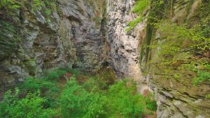 Anders als bei vielen Karsthöhlen etwa auf der Schwäbischen Alb ist der Hranická propast  nicht durch einsickerndes Regenwasser entstanden, sondern durch angesäuertes Wasser, dass aus den unteren Schichten der Erdkruste nach oben quillt. Foto: Wikipedia commons/Jiří Komárek /CC BY-SA 4.0