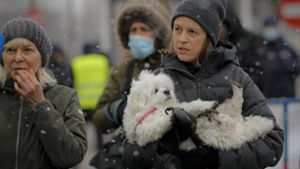 Manche Menschen aus der Ukraine nehmen bei der Flucht auch ihre Haustiere mit. (Symbolbild) Foto: dpa/Andreea Alexandru