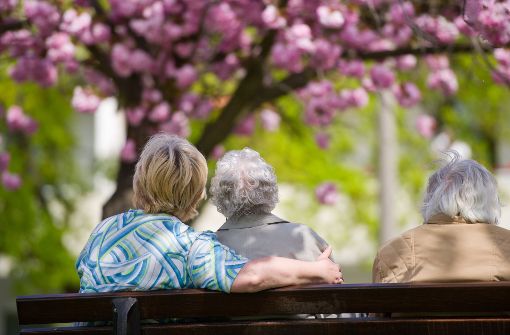 Manchmal freuen sich ältere Menschen einfach nur über jemanden, der mit ihnen spazieren geht oder der ihnen zuhört. Foto: dpa