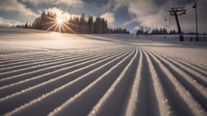 Von Abfahrten bis Rodeln: Das Skigebiet Schauinsland bietet für jeden Wintersport etwas an. Foto: shutterstock/Alex Emanuel Koch