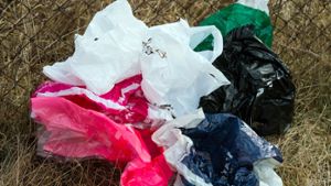 Umweltschutz an der Kasse: Kunden müssen Plastiktüten künftig bezahlen. Foto: dpa